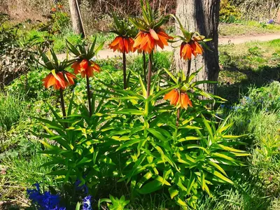 Ein Garten an der Unterkunft Die Malche Gäste und Tagungshaus 27