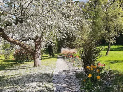 Ein Garten an der Unterkunft Die Malche Gäste und Tagungshaus 27