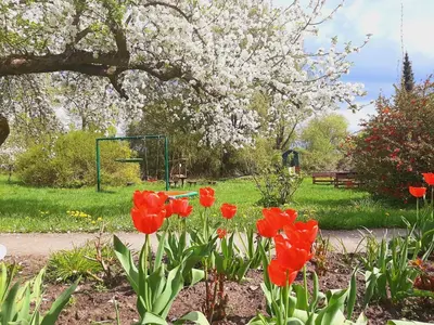 Ein Garten an der Unterkunft Die Malche Gäste und Tagungshaus 26