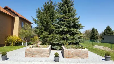 Ein Garten an der Unterkunft FeWo Schütz