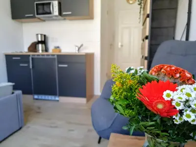 Küche/Küchenzeile in der Unterkunft Hogulu - klein und fein in der Altstadt, Appartement 10