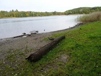 Naturlandschaft in der Nähe der Ferienwohnung