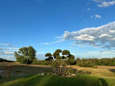 Naturlandschaft in der Nähe der Ferienwohnung