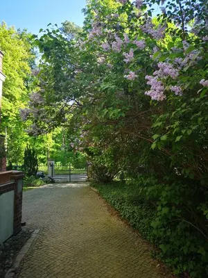 Ein Garten an der Unterkunft Gründerzeitvilla in Berlin Zehlendorf