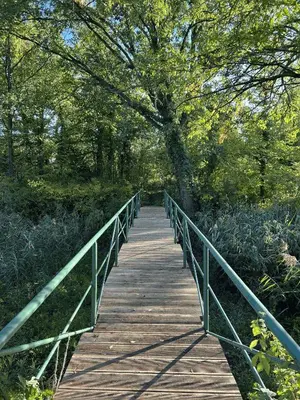 Naturlandschaft in der Nähe der Ferienwohnung