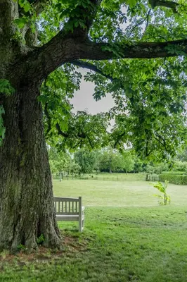 Ein Garten an der Unterkunft Gutshaus Lietzow