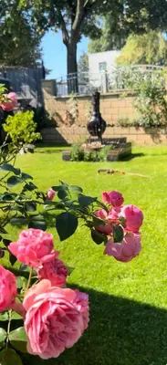 Ein Garten an der Unterkunft Gästewohnung Scharfe Lanke