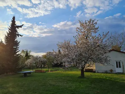 Ein Garten an der Unterkunft Auszeit in Märkische Schweiz
