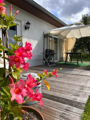 Ein Garten an der Unterkunft Auszeit in Märkische Schweiz