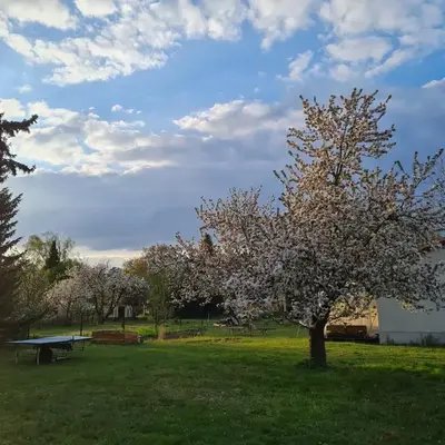 Auszeit in Märkische Schweiz