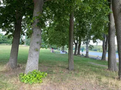 Naturlandschaft in der Nähe der Ferienwohnung