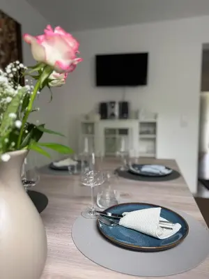 TV/Unterhaltungsangebot in der Unterkunft Ferienwohnung im Haus am See