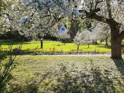 Ein Garten an der Unterkunft Die Malche Gäste und Tagungshaus 17