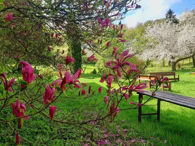 Ein Garten an der Unterkunft Die Malche Gäste und Tagungshaus 17