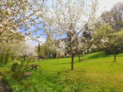 Ein Garten an der Unterkunft Die Malche Gäste und Tagungshaus 16