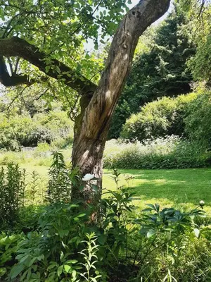 Ein Garten an der Unterkunft Die Malche Gäste und Tagungshaus 16