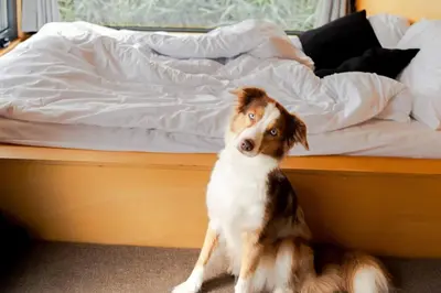 Ein Bett oder Betten in einem Zimmer der Unterkunft Offgrid Cabin am See in Brandenburg Tiny House Natururlaub bei Berlin