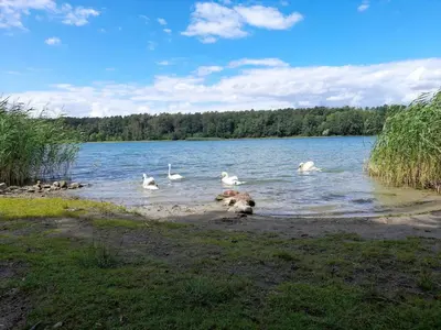 Naturlandschaft in der Nähe der Ferienwohnung