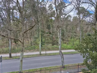Naturlandschaft in der Nähe des Privatzimmers