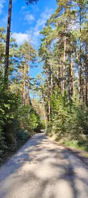 Naturlandschaft in der Nähe des Ferienhauses