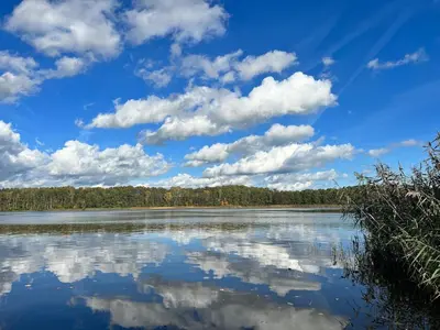 Naturlandschaft in der Nähe der Villa