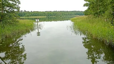 Naturlandschaft in der Nähe der Villa