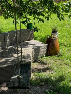 Ein Garten an der Unterkunft Viki54 FeWo05 