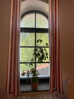 Ein Garten an der Unterkunft Gasthaus Bellevue
