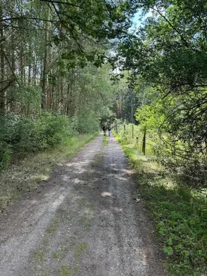 Gäste, die in der Unterkunft Country house villa near Berlin übernachten