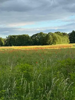 Naturlandschaft in der Nähe der Villa