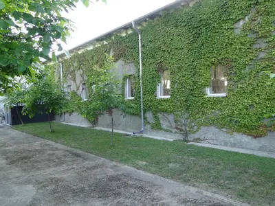 Ein Garten an der Unterkunft Ferienwohnung Sonnenaufgang im Ruppiner Land