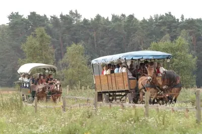 Gäste, die in der Unterkunft Naturidylle mit Kamin und Sauna in der Schorfheide übernachten
