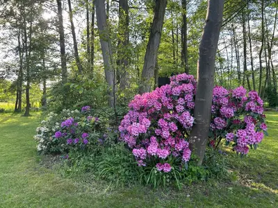 Ein Garten an der Unterkunft Modernes Gartenatelier am Mühlenfließ