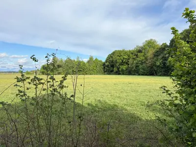 Naturlandschaft in der Nähe des Ferienhauses
