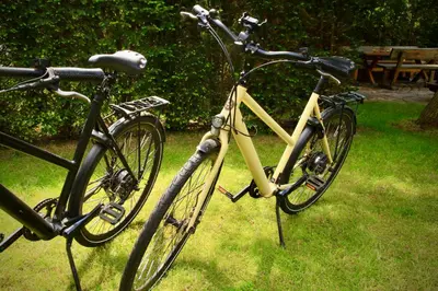Radfahren an der Unterkunft Apartment in Berlin-Köpenick oder in der Nähe