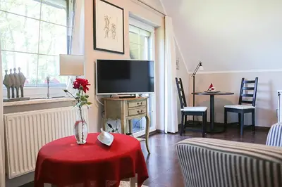 TV/Unterhaltungsangebot in der Unterkunft Chalet am See Sader