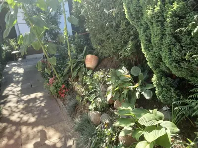 Ein Garten an der Unterkunft Gästehaus im Grünen