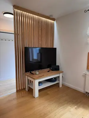 TV/Unterhaltungsangebot in der Unterkunft Landhaus Buckow