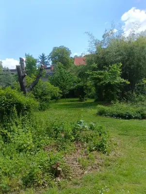 Ein Garten an der Unterkunft Landhaus Buckow