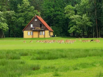 Naturlandschaft in der Nähe der Ferienwohnung