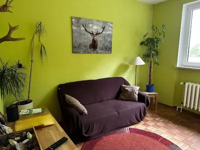 Ein Sitzbereich in der Unterkunft Wildpark Johannismühle