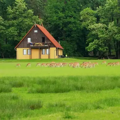 Wildpark Johannismühle