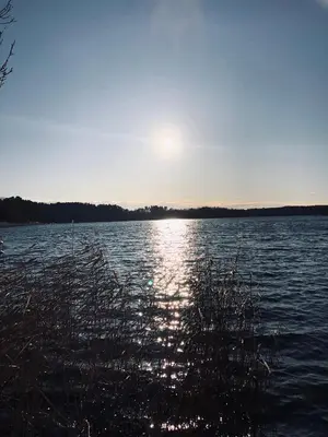 Naturlandschaft in der Nähe des Ferienhauses