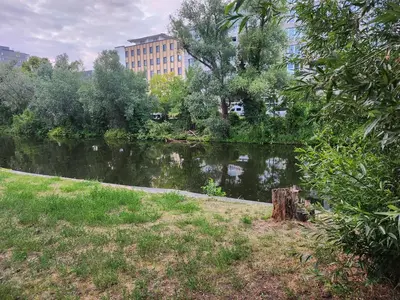 Naturlandschaft in der Nähe der Ferienwohnung