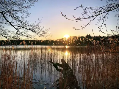 Naturlandschaft in der Nähe des Ferienhauses