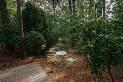 Ein Garten an der Unterkunft Modernes Tiny House im Spreewald