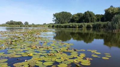 Naturlandschaft in der Nähe des Ferienhauses