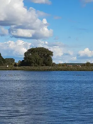 Naturlandschaft in der Nähe des Ferienhauses