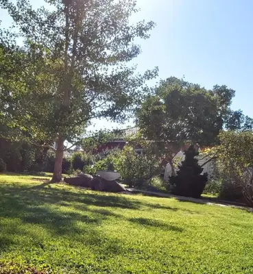 Ein Garten an der Unterkunft Kleine Idylle
