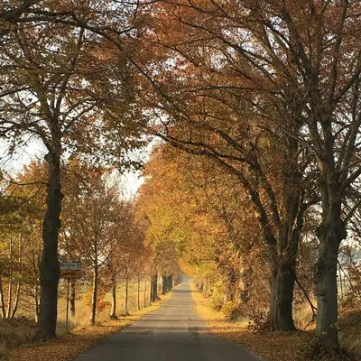 Naturlandschaft in der Nähe der Ferienwohnung